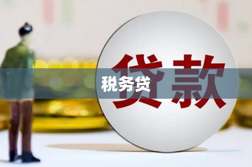东西湖税务贷