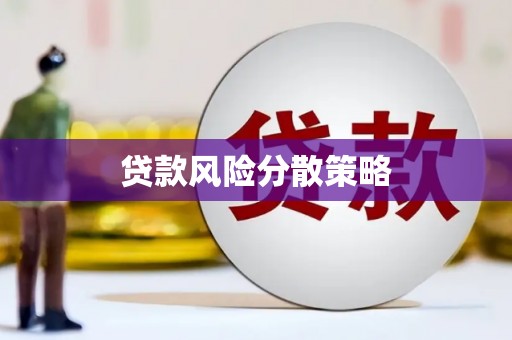 东西湖贷款风险分散策略