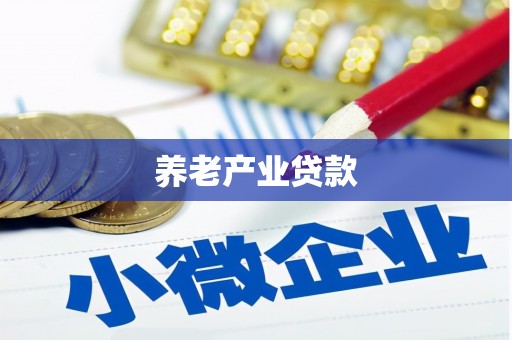 东西湖养老产业贷款