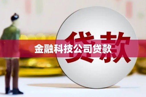 东西湖金融科技公司贷款