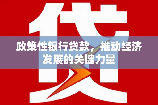 东西湖政策性银行贷款，推动经济发展的关键力量