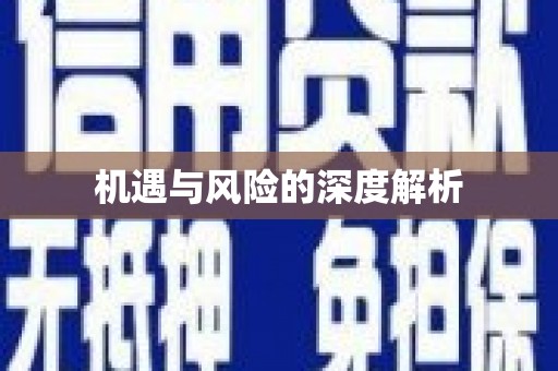 东西湖机遇与风险的深度解析