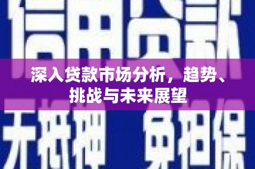 东西湖深入贷款市场分析，趋势、挑战与未来展望