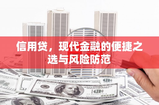东西湖信用贷，现代金融的便捷之选与风险防范