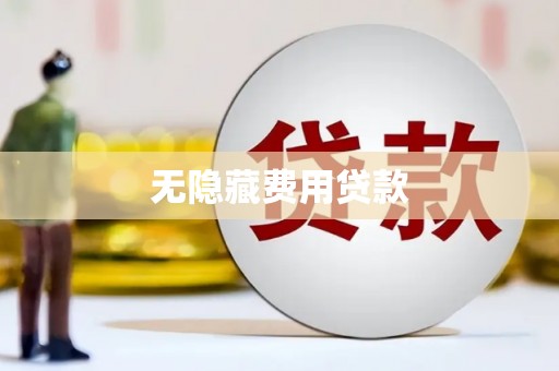 东西湖无隐藏费用贷款