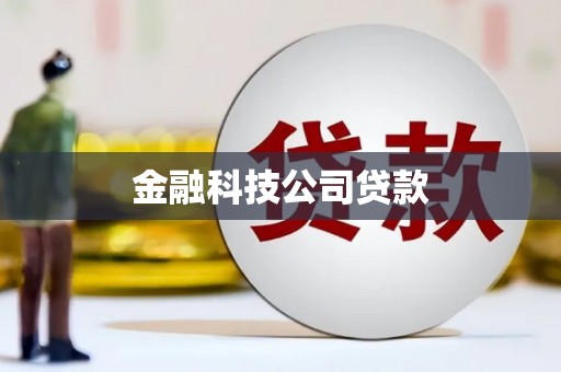东西湖金融科技公司贷款