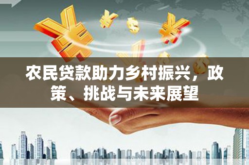东西湖农民贷款助力乡村振兴，政策、挑战与未来展望