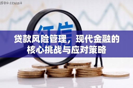 东西湖贷款风险管理，现代金融的核心挑战与应对策略