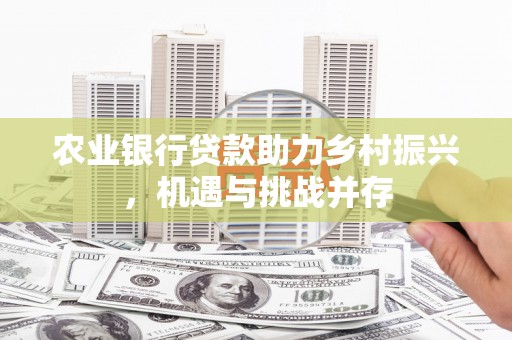 东西湖农业银行贷款助力乡村振兴，机遇与挑战并存