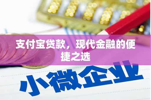 东西湖支付宝贷款，现代金融的便捷之选