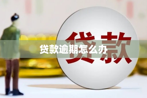 东西湖贷款逾期怎么办