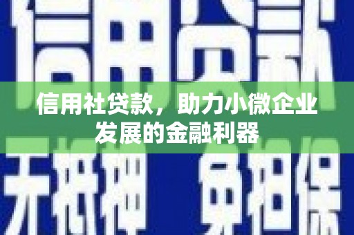 东西湖信用社贷款，助力小微企业发展的金融利器