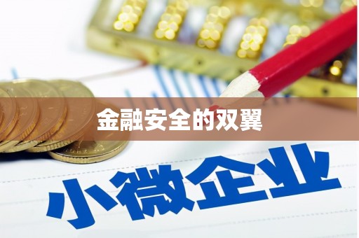 东西湖金融安全的双翼