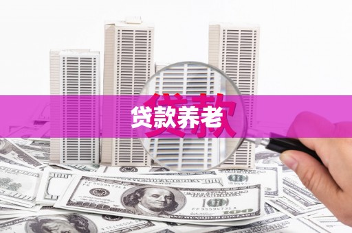 东西湖贷款养老