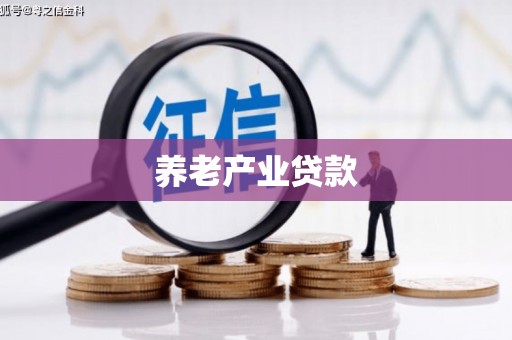 东西湖养老产业贷款