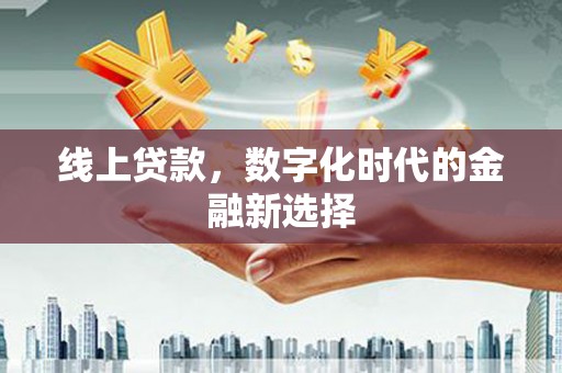 东西湖线上贷款，数字化时代的金融新选择