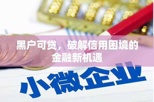 东西湖黑户可贷，破解信用困境的金融新机遇