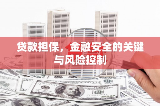东西湖贷款担保，金融安全的关键与风险控制