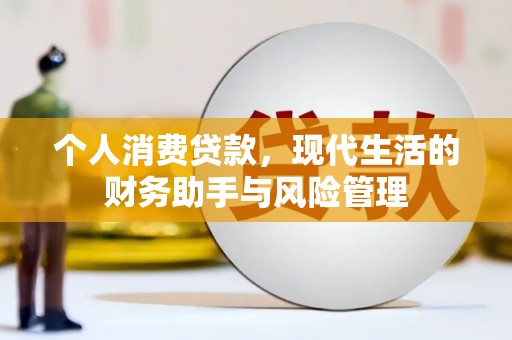 东西湖个人消费贷款，现代生活的财务助手与风险管理
