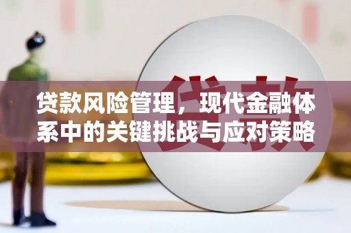 东西湖贷款风险管理，现代金融体系中的关键挑战与应对策略