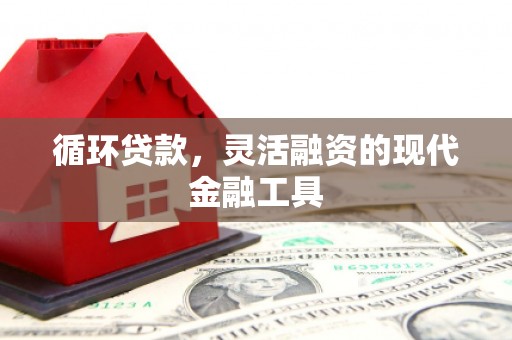 东西湖循环贷款，灵活融资的现代金融工具