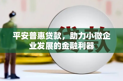 东西湖平安普惠贷款，助力小微企业发展的金融利器