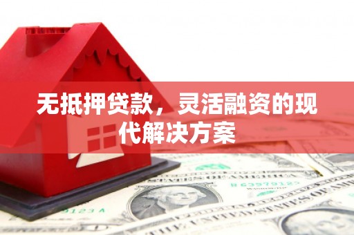 东西湖无抵押贷款，灵活融资的现代解决方案