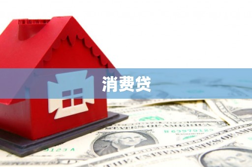 东西湖消费贷