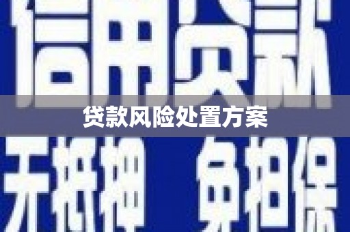 东西湖贷款风险处置方案