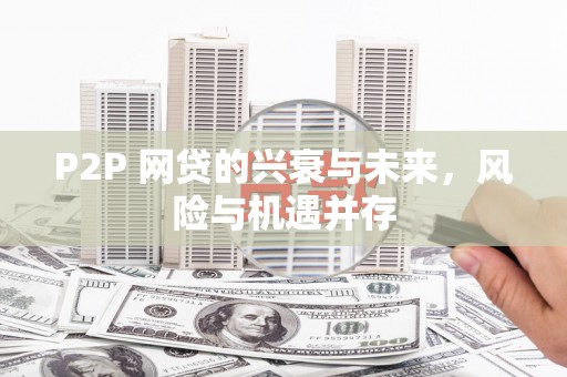 东西湖P2P 网贷的兴衰与未来，风险与机遇并存