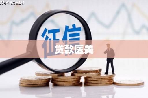 东西湖贷款医美