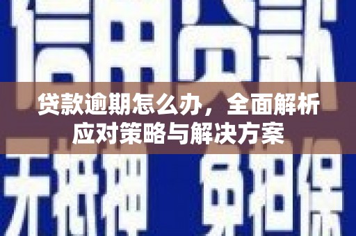 东西湖贷款逾期怎么办，全面解析应对策略与解决方案