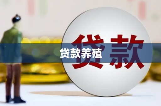 东西湖贷款养殖