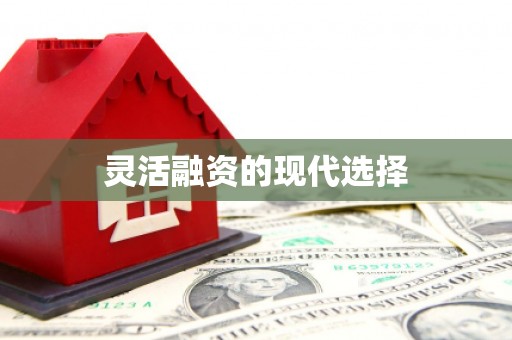 东西湖灵活融资的现代选择
