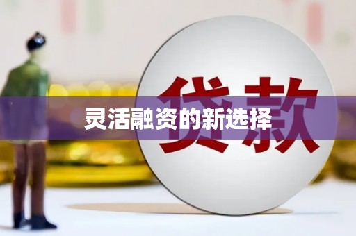 东西湖灵活融资的新选择
