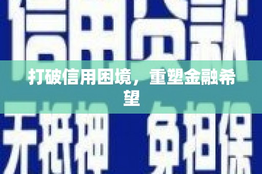 东西湖打破信用困境，重塑金融希望