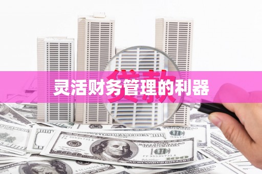 东西湖灵活财务管理的利器