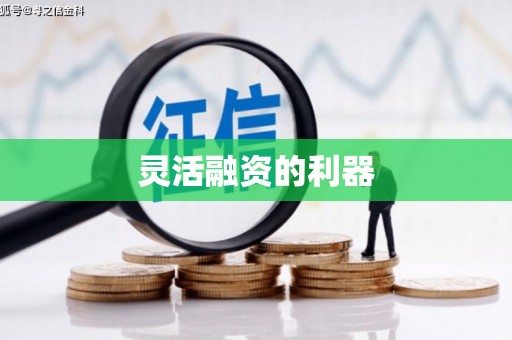 东西湖灵活融资的利器