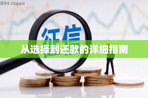 东西湖从选择到还款的详细指南