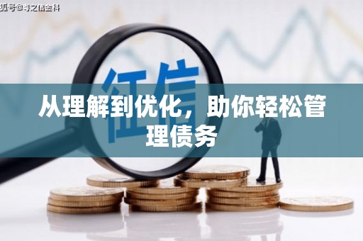 东西湖从理解到优化，助你轻松管理债务