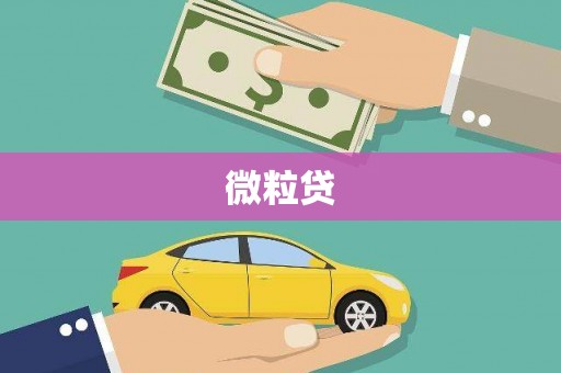东西湖微粒贷
