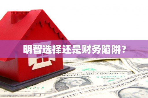 东西湖明智选择还是财务陷阱？