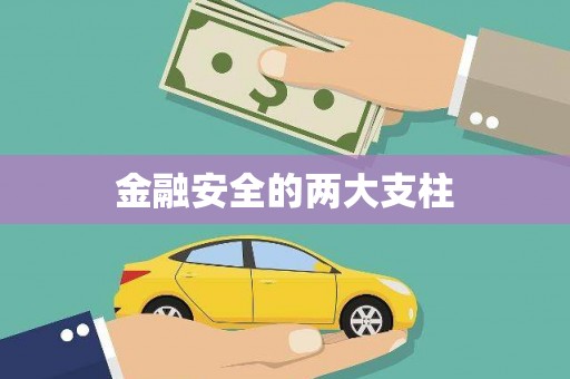 东西湖金融安全的两大支柱