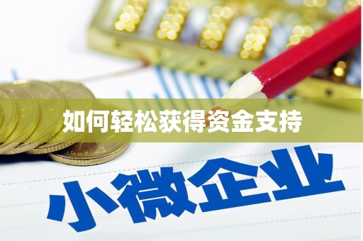 东西湖如何轻松获得资金支持