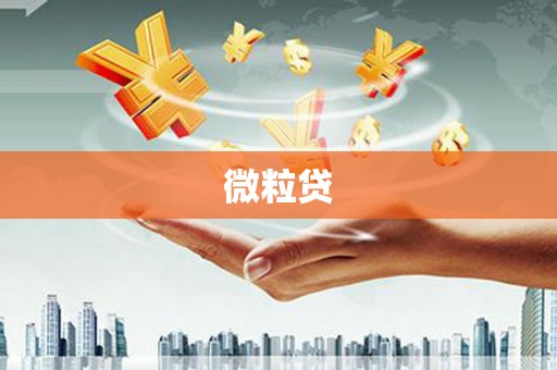 东西湖微粒贷