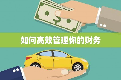 东西湖如何高效管理你的财务