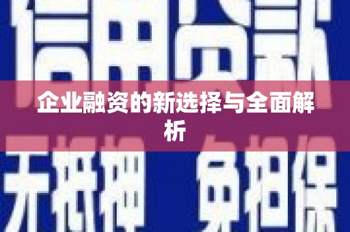 东西湖企业融资的新选择与全面解析