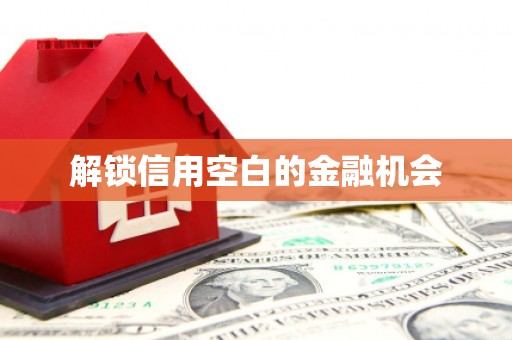 东西湖解锁信用空白的金融机会