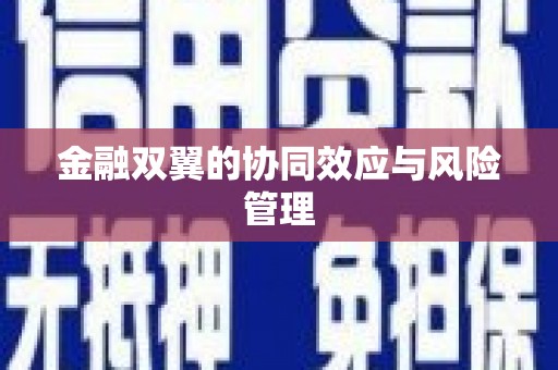 东西湖金融双翼的协同效应与风险管理
