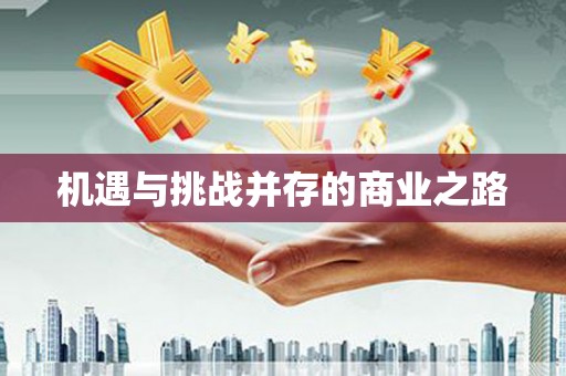 东西湖机遇与挑战并存的商业之路